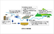 研究の対象領域